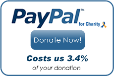 PayPal - Donate Now!