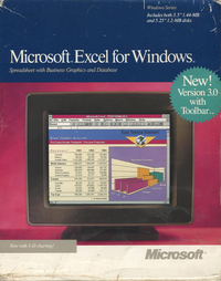 Microsoft Excel for Windows