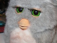 A scary view of a Furby ...