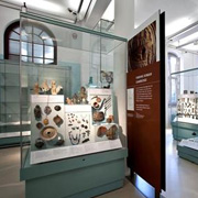 University Museum of Archaeology & Anthropology