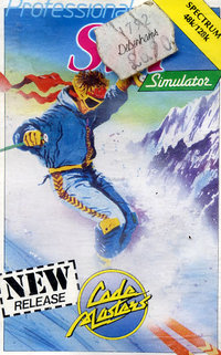 Professional Ski Simulator