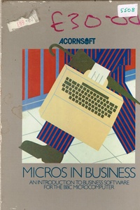 Micros in Business