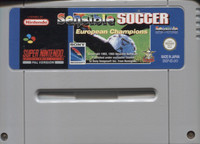 Sensible Soccer European Champions