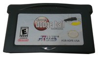 Super Dodge Ball Advance 