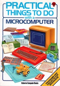 Practrical Things to do with a Microcomputer for Beginners