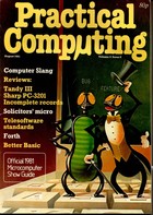 Practical Computing - August 1981, Volume 4, Issue 8