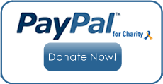 PayPal - Donate Now!