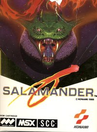 Salamander