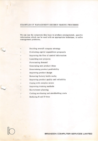 Brandon Computer Services - Examples of Management Decision Making Processes