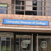 University Museum of Zoology