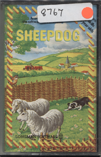 Sheepdog