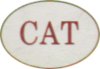 Cambridge Applied Technology