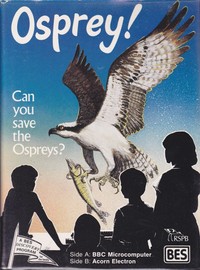 Osprey!