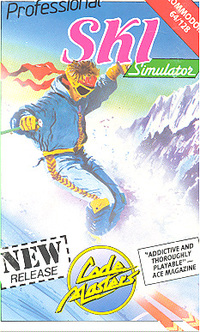 Professional Ski Simulator