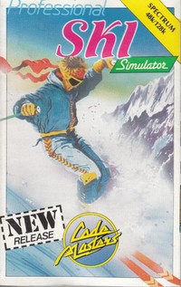 Professional Ski Simulator