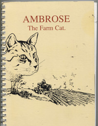 Ambrose The Farm Cat