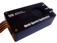 BEEB Speech Synthesizer