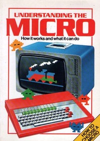 Understanding The Micro