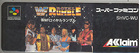 WWF Royal Rumble