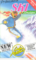 Professional Ski Simulator