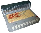 Piko Dat Toy Learning Computer