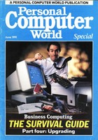 Personal Computer World - June 1991 Business Computing Supplement